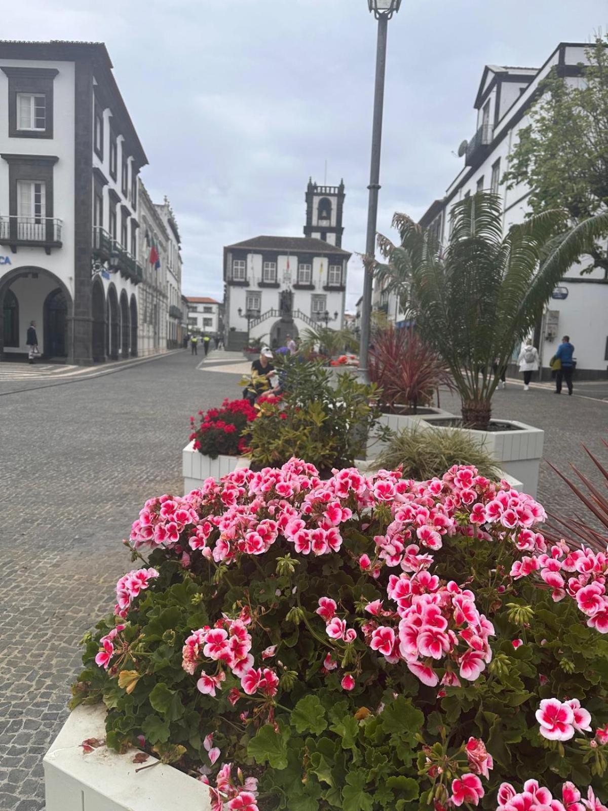 Azor International Apartment II Ponta Delgada Buitenkant foto